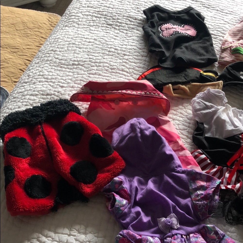 Pet outfits